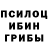 Галлюциногенные грибы Psilocybe wawa wawar