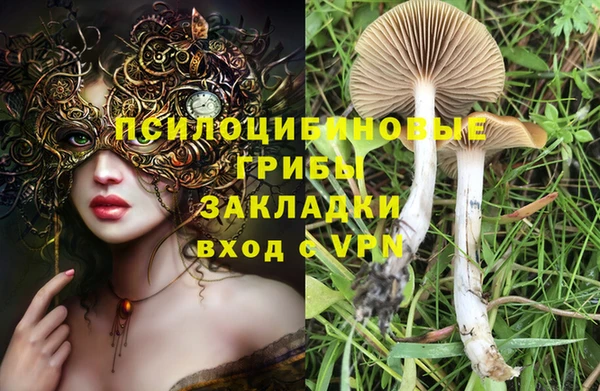СК Алзамай