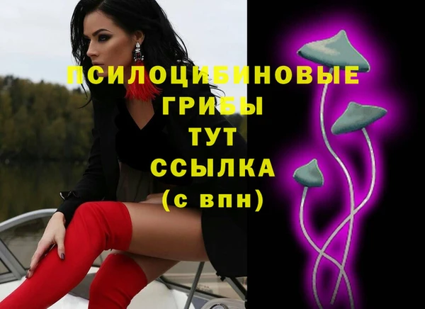 крисы Алексеевка