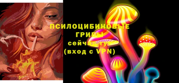 СК Алзамай