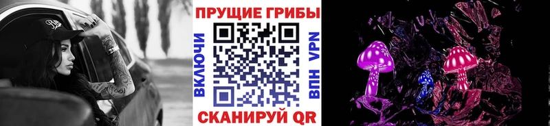 Псилоцибиновые грибы Psilocybe  даркнет сайт  нарко площадка официальный сайт  Артём 